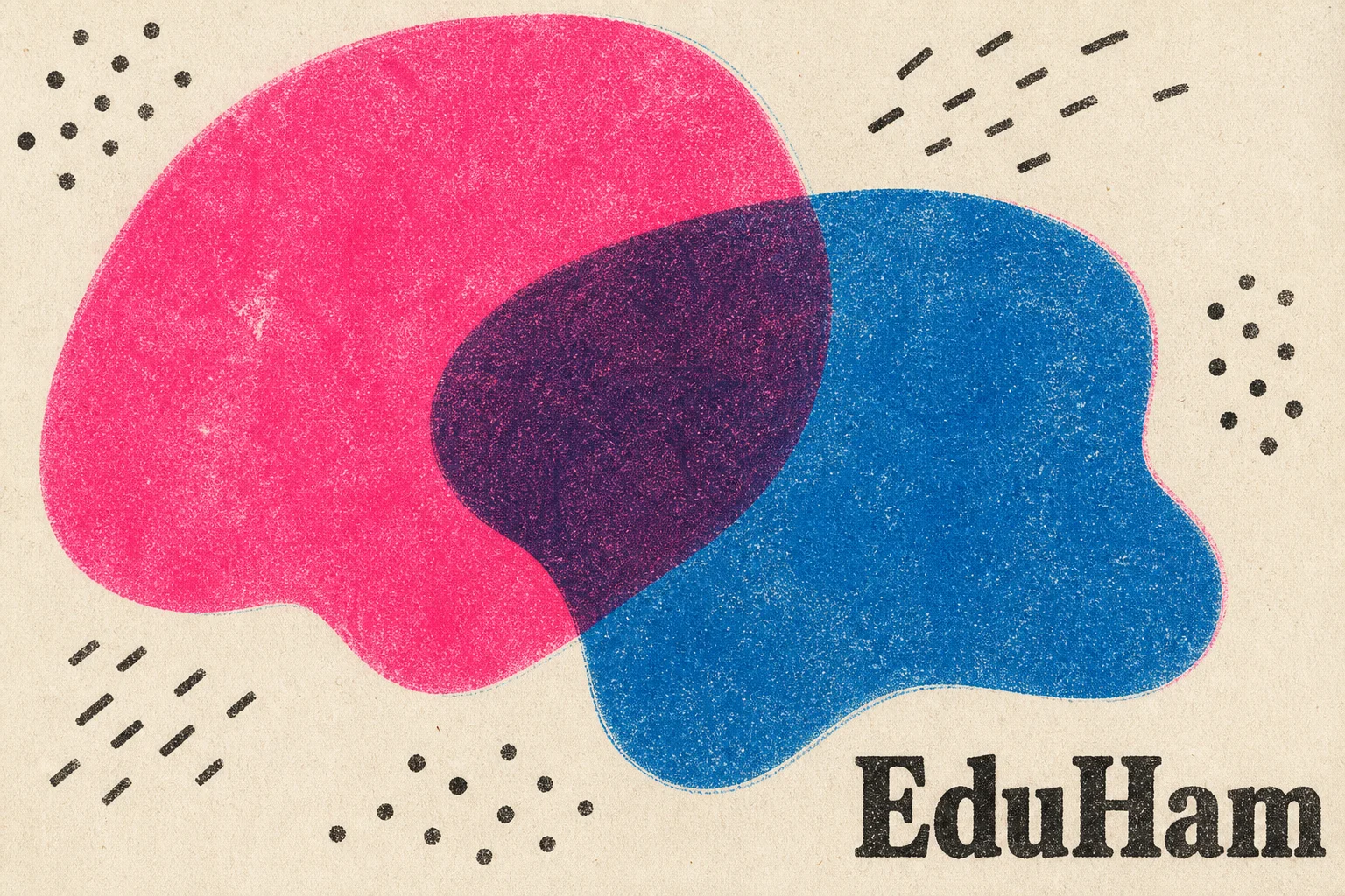 EduHam case study