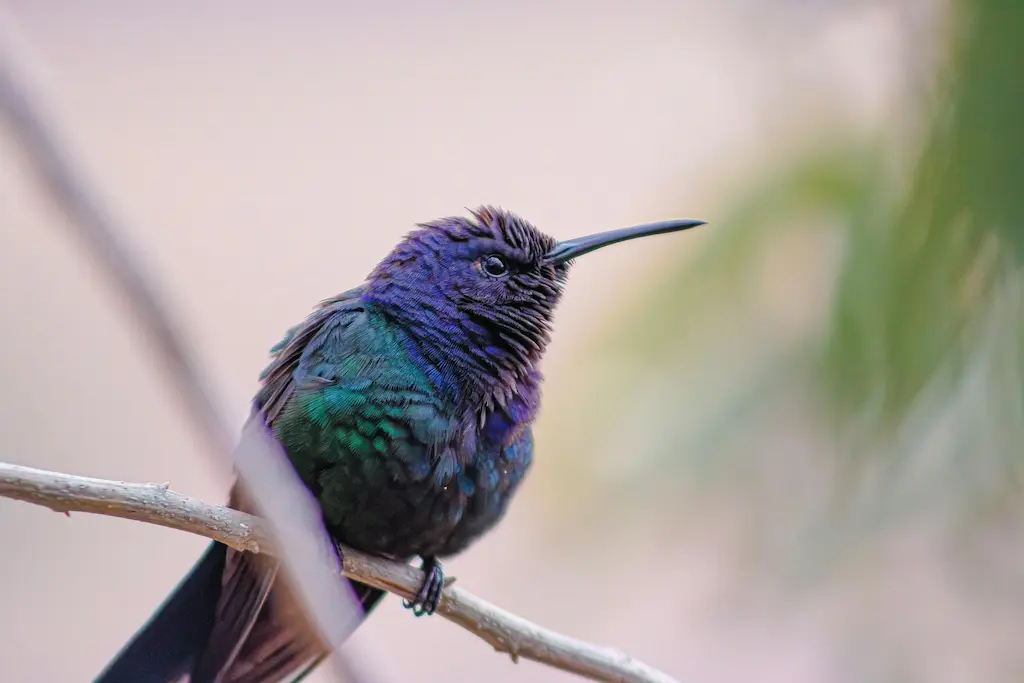 Scaling RevOps: Lessons from Series A to Enterprise